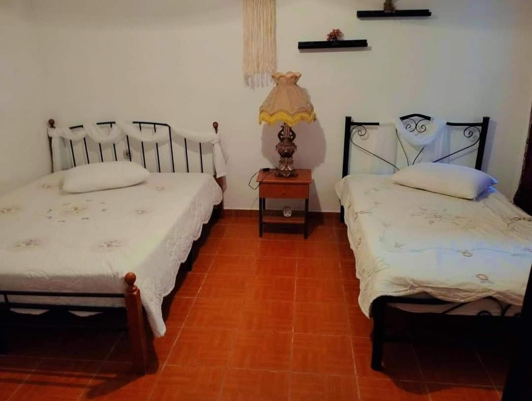 Villa Konstantina Nea Skioni Esterno foto